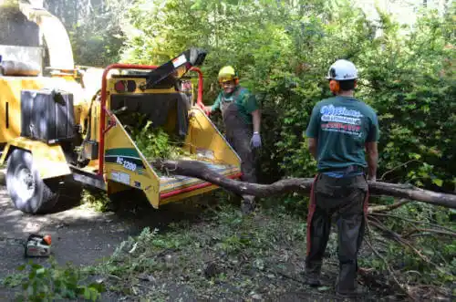 tree services Porterville